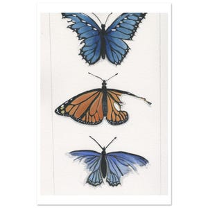 May include: Watercolor painting of three butterflies. The top butterfly is blue with black markings. The middle butterfly is orange and black with a damaged wing. The bottom butterfly is blue with a darker blue outline. All butterflies have black antennae.