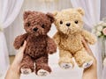 Personalized Ring Bearer Teddy Bear Flower Girl Teddy Bear Soft Plush Toy Flower Girl Proposal Page Boy Gift Wedding Party Gifts
