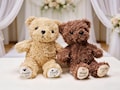 Personalized Flower Girl Teddy Bear Ring Bearer Teddy Bear Soft Plush Toy Flower Girl Proposal Page Boy Gift Wedding Party Gifts