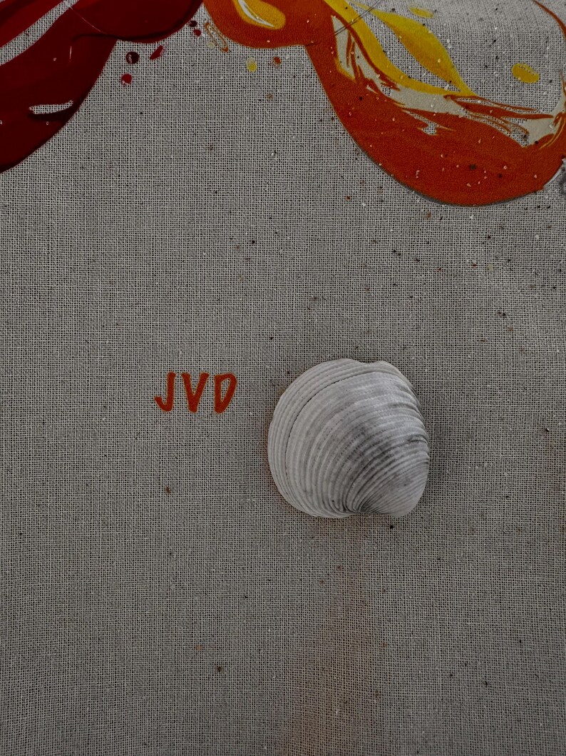 May include: A grey seashell with a ridged texture sits on a textured, neutral-toned surface. The letters "JVD" are painted in orange. Swirls of orange, red, and yellow paint are in the upper portion of the image.