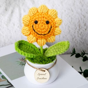 Personalized Crochet Sunflower Pot with Engraved Tag,Custom Gift for Birthday or Teacher,Desk or Home Decor,Birthday Gift,Friend Gift