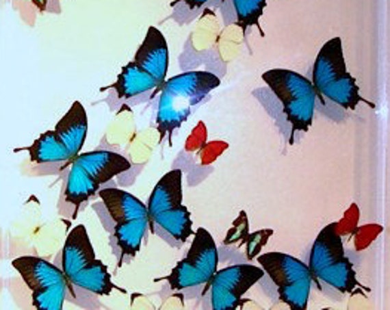 Atlantis - Three Panel Mural wall hanging display made with real butterflies