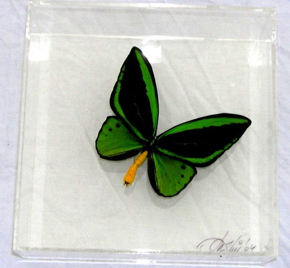 Poseidon - real butterfly panel