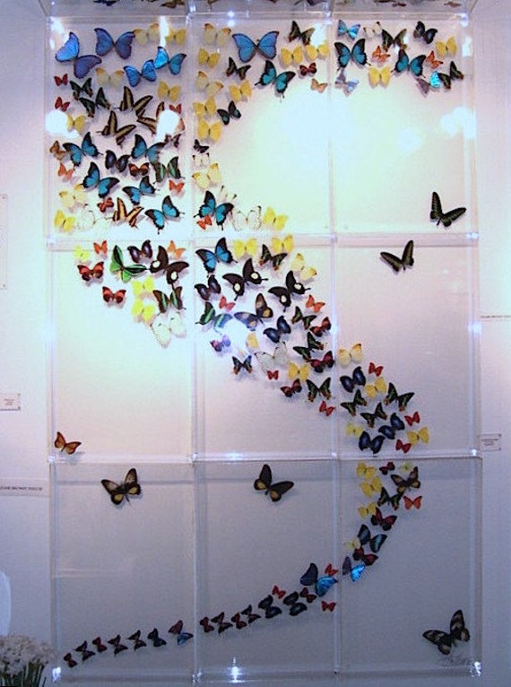 Musical Flight