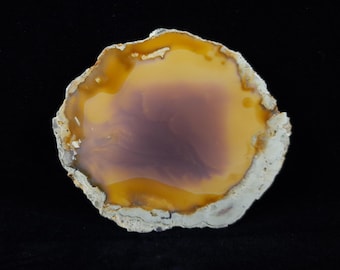White Fir Thunderegg Polished Slab
