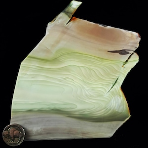 May include: A polished stone slab with layered patterns in shades of green, beige, and brown. The stone has a natural, irregular shape and a smooth surface. A coin is placed next to the stone for size comparison.