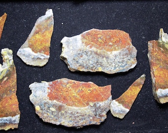 Jumpin' Jeep Moss Agate Slabs/End cuts