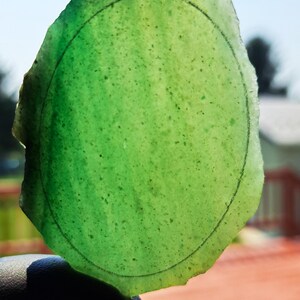 May include: A translucent, light green, irregularly shaped stone slab featuring a dark, hand-drawn oval outline on its surface. The stone displays a speckled texture throughout, with varying shades of green and visible internal inclusions.