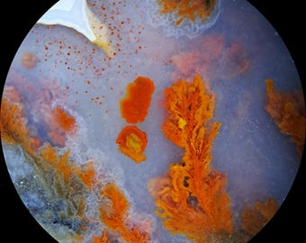 Powel Butte Plume Agate Slab - Rare, Old Stock material