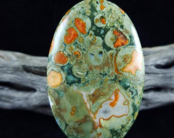 Rain Forest Jasper Cabochon