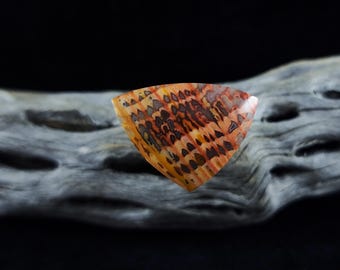 Old Stock Howardite Cabochon