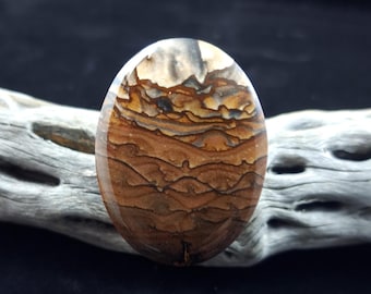 Deschutes Picture Jasper Cabochon