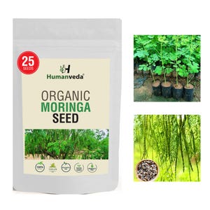 Moringa Seeds, Tree of Life, Miracle Plant, Moringa Oleifera,
