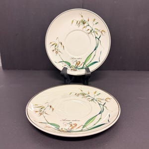 Könnte beinhalten: Zwei runde, cremeweiße Untertassen aus Keramik mit einer botanischen Illustration von Haferhalmen mit grünen Blättern und gelben Körnern. Der Text Avena sativa ist in schwarzer Schrift auf jeder Untertasse gedruckt. Ein dünner dunkler Rand ziert den Rand.
