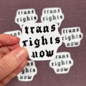 May include: A white sticker with a die-cut shape featuring the black text "trans rights now" in a bold, gothic-style font. The sticker is held up, with several identical stickers visible in the background, all displaying the same text.