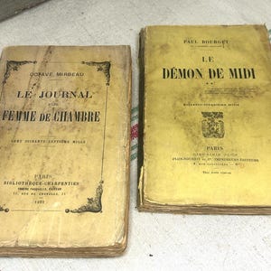 May include: Two antique books with yellowed paper covers. The left book is titled Le Journal d'une Femme de Chambre by Octave Mirbeau, published in 1922. The right book is titled Le Démon de Midi by Paul Bourget, published in Paris by Plon.