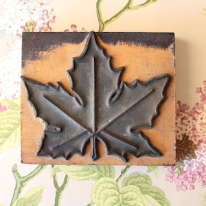 フランスの学校用XXL切手 LEAF、6 x 4.8 cm、3810