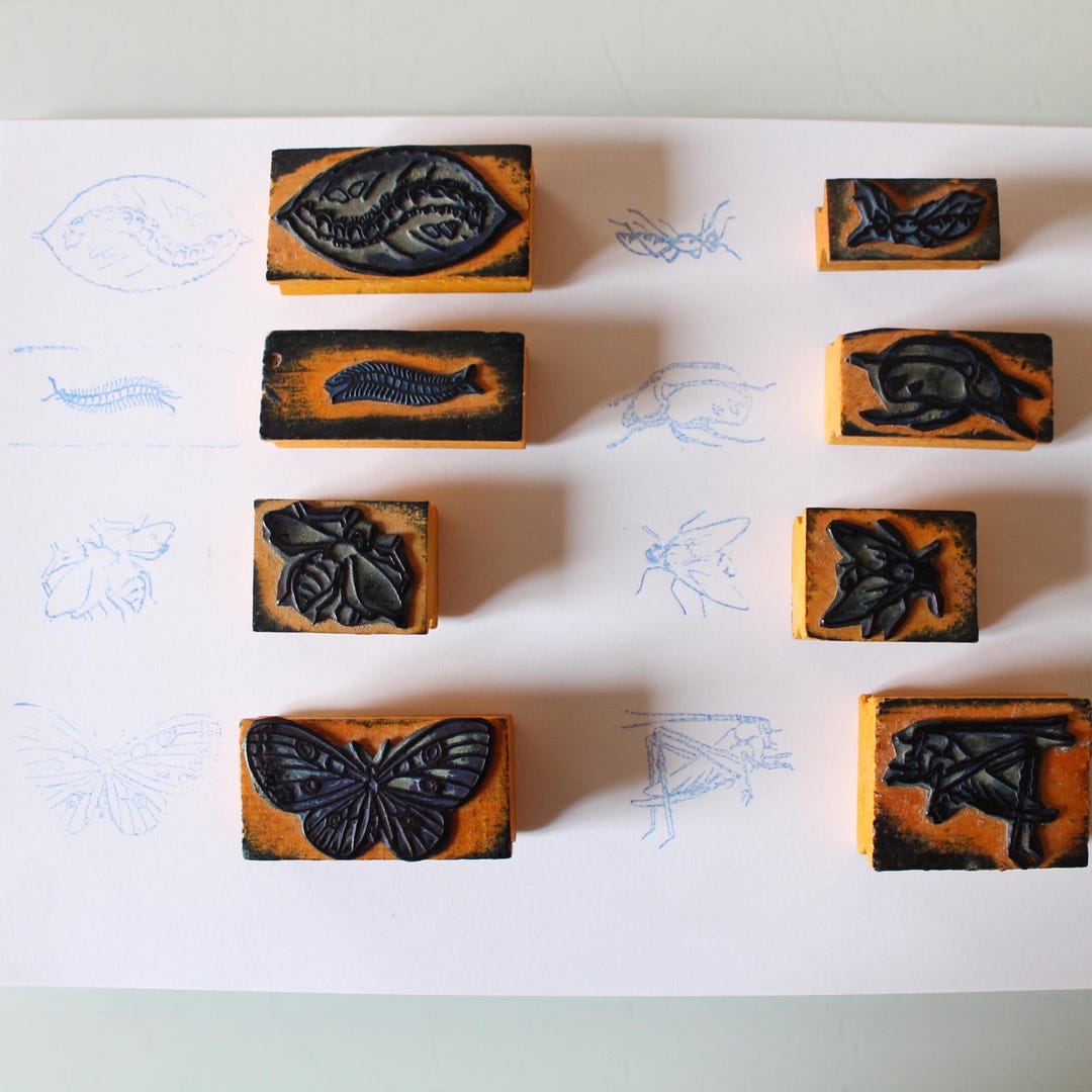 French Vintage Rubber Stamp, Insect Illustration 4654 - Etsy
