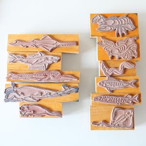 Op de afbeelding: Houten stempels met verschillende zeedieren, waaronder haaien en vissen, gerangschikt op een witte achtergrond. De stempels tonen gedetailleerde illustraties van zeedieren, ideaal voor knutselen of educatieve doeleinden.