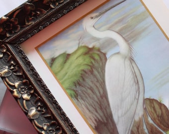May include: Framed print featuring a white heron with a long neck and beak, set against a backdrop of green hills and a blue sky. The artwork is encased in a dark brown, ornate floral frame, adding a touch of vintage elegance.