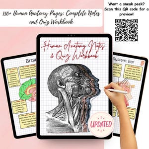 Human Anatomy Study Guide: 150+ Printable Notes & Quizzes (Digital Download)