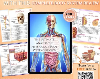 Anatomy Physiology Study Guide PDF, Body Systems Review, Notes, Quizzes (Digital Download)