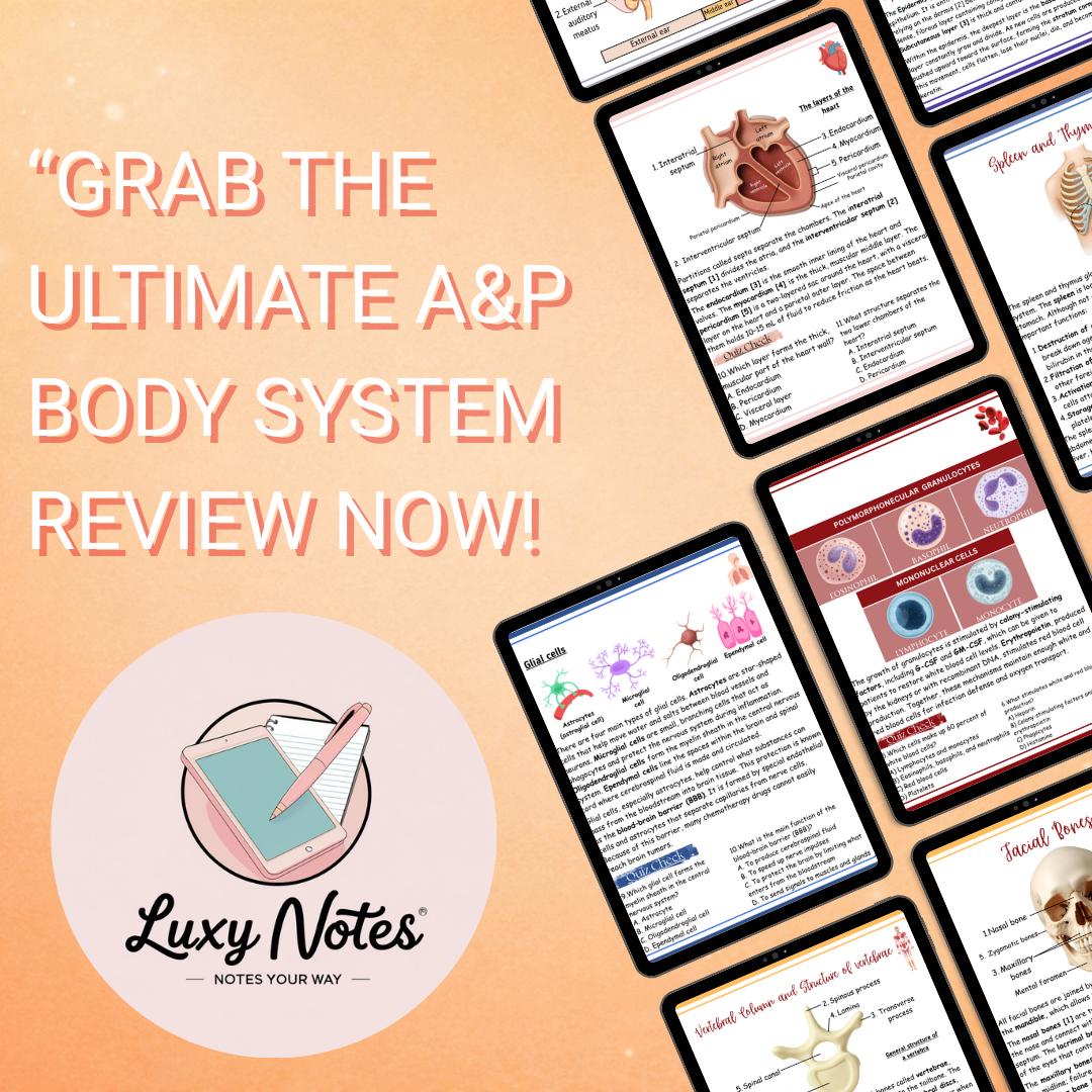 Anatomy & Physiology Study Guide PDF | 200+ Page Body Systems Review ...
