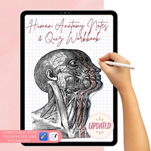 Human Anatomy Study Guide: Printable Notes & Quizzes (Digital Download)