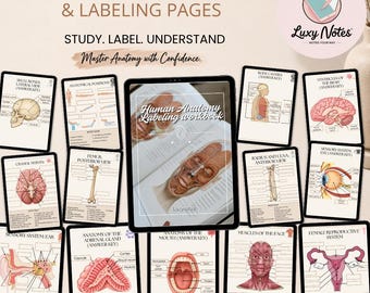 May include: A digital collection of Human Anatomy & Labeling Pages featuring a central tablet displaying a Human Anatomy Labeling workbook. Surrounding pages include diagrams of skull bones, cranial nerves, ear, adrenal gland, mouth, face muscles, body cavities, brain, eye, and reproductive system.