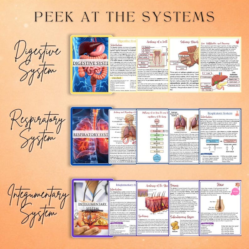Anatomy & Physiology Study Guide PDF | 200+ Page Body Systems Review ...