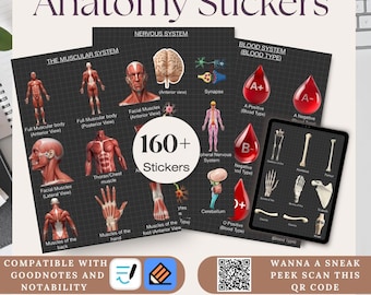 Anatomy Stickers, Human Body Systems, Digital Medical Stickers for GoodNotes & Notability