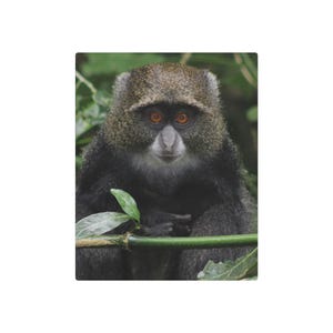 Metal Wall Art Sign: Nature-Inspired Décor for Animal Lovers, Eco-Friendly Home Accent, Perfect for Gifts, Wildlife Decor, Monkey Art