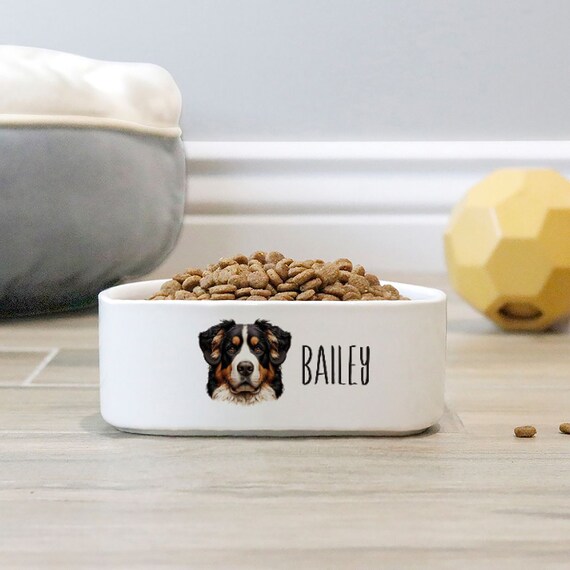 Bernese mountain dog clearance food