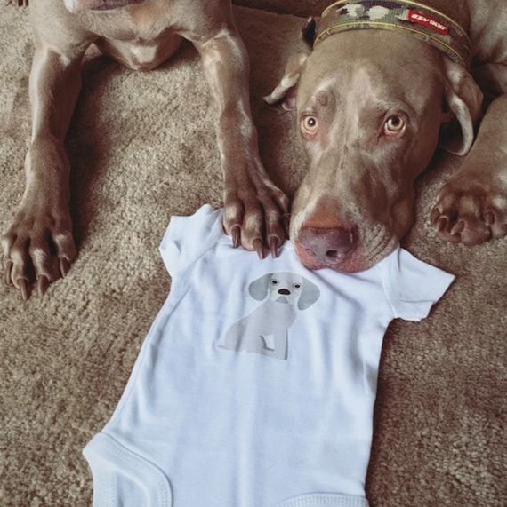 Weimaraner newborn hot sale