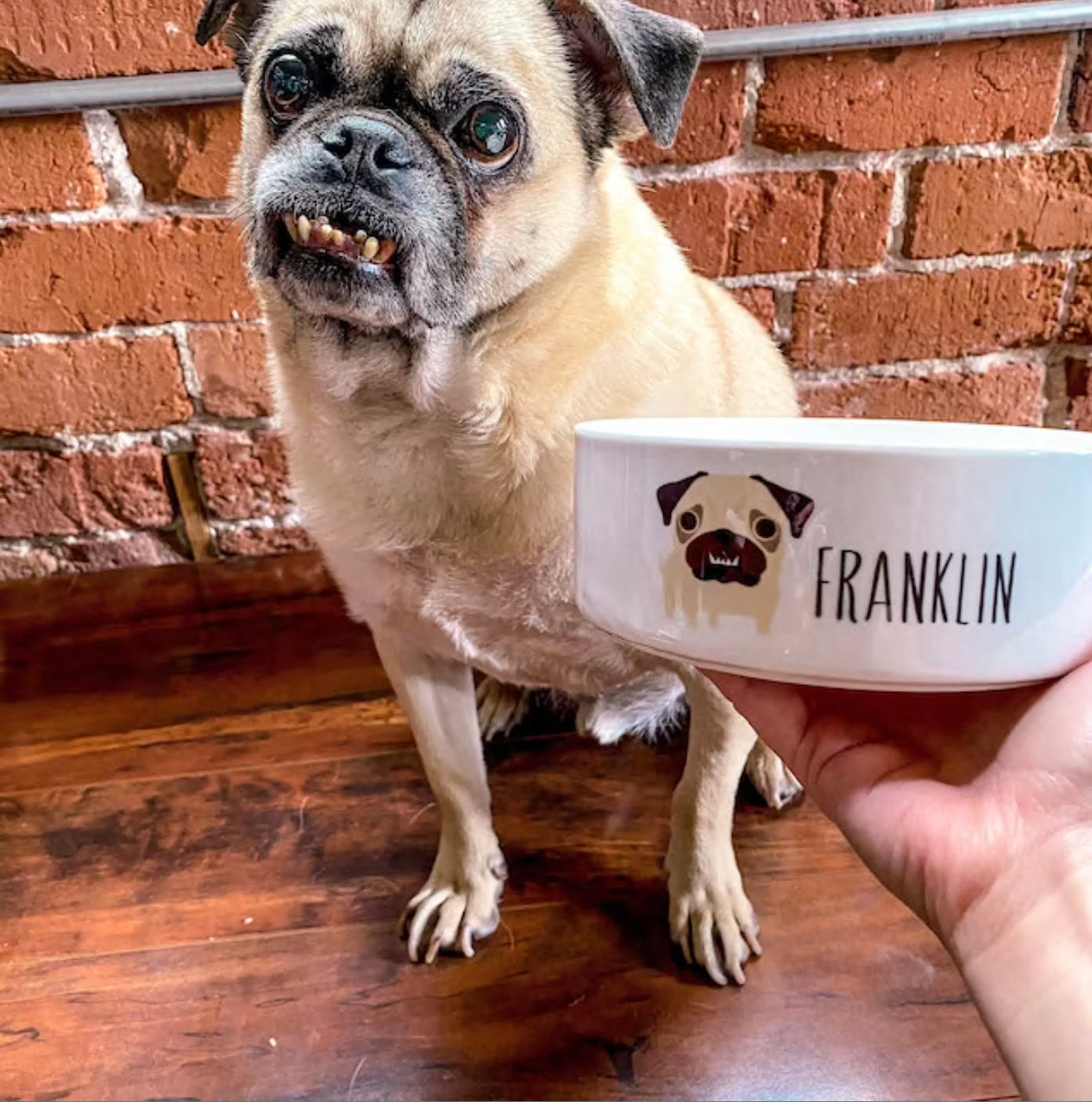 Pug Ceramic Food or Water Bowl Personalized With Custom Name | Etsy