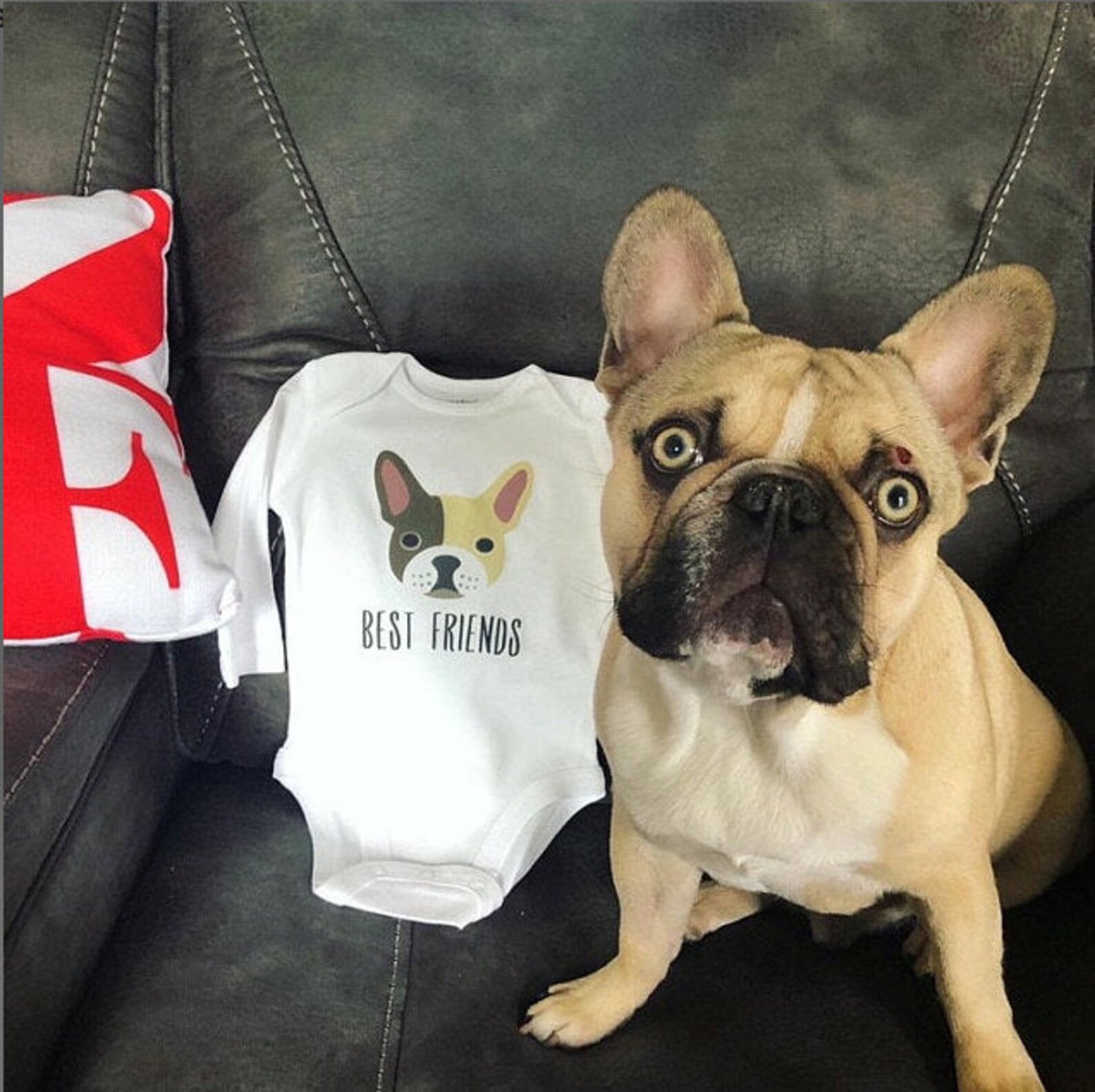 French Bulldog Baby Clothes Bodysuit Romper for Baby Boy or Etsy