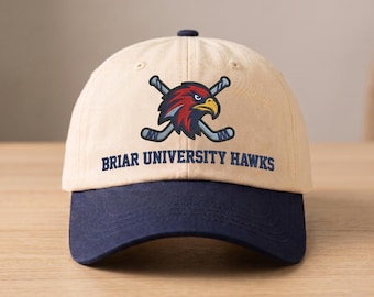 Briar University Hawks Team Broderad Truckerkeps, Basebollkeps Off Campus, Hockey Romantisk Film College Apparel