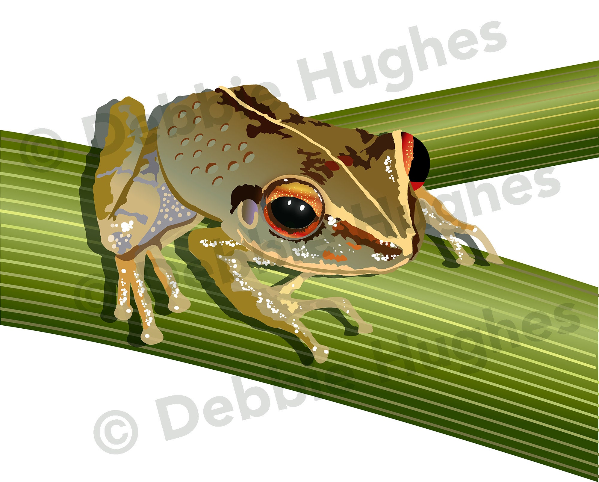 Buy Coquí Frog, SVG, Ai, Png, Pdf, Eps, Jpg, Download, Digital Image