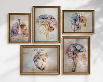 Medical Art Set of 5, Doctor Office Decor, Floral Medical Art, Brain Print, Medical Art Prints, Heart Print, Lungs Poster, Stethoscope Art