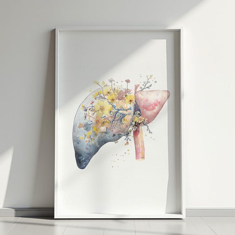 Liver Watercolor Print, Human Liver Anatomy Art, Digestive System Art ...
