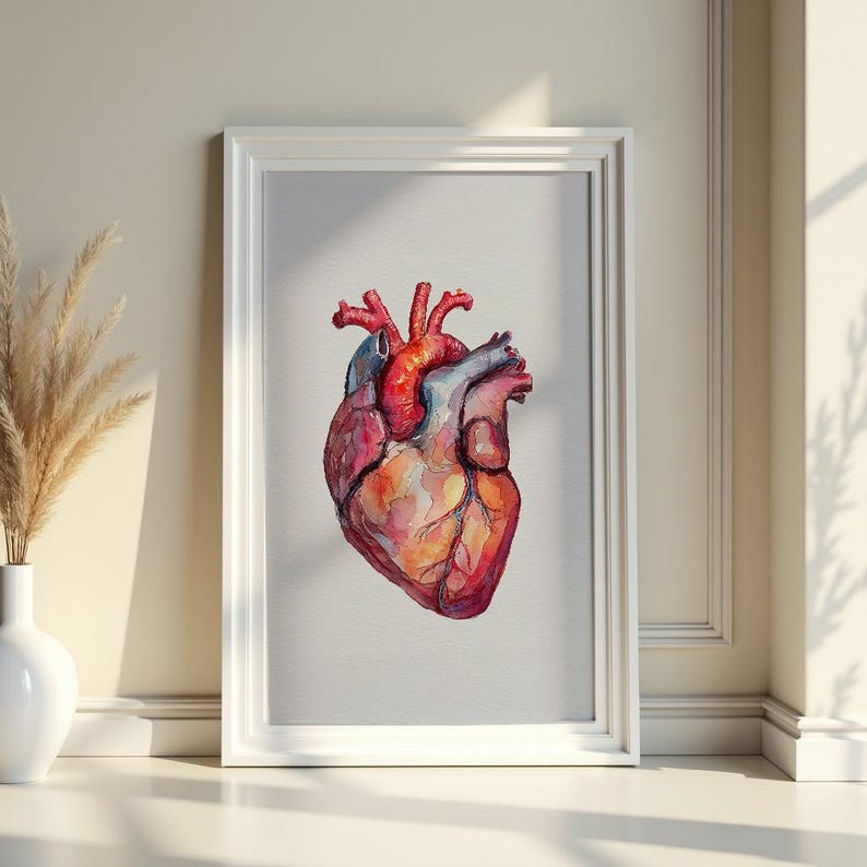 Human Heart Art, Medical Anatomy Wall Art, Anatomical Heart Decor ...