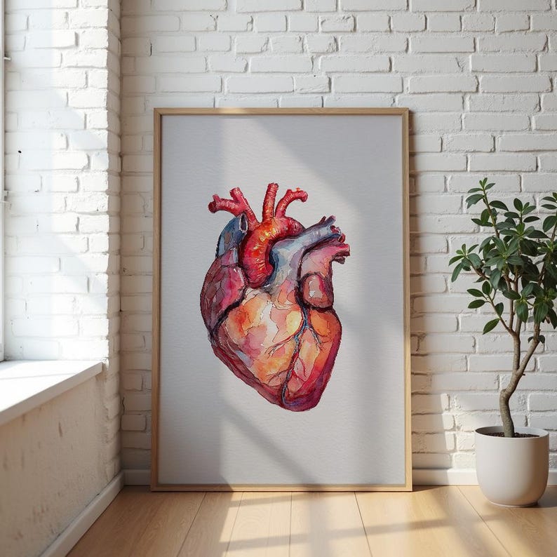 Human Heart Art, Medical Anatomy Wall Art, Anatomical Heart Decor ...