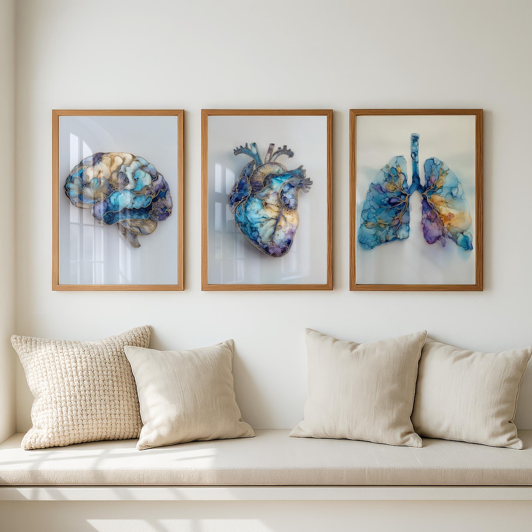 Medical Art Set of 3 | Abstract Brain, Heart & Lungs Prints | Medical ...