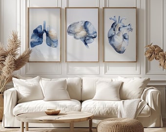 Medical Anatomy Art Set of 3 | Abstract Brain, Heart & Lungs Art | Medical Wall Art | Human Anatomy Prints | Medical Office Decor