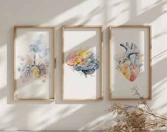 Medical Office Art Set of 3: Brain, Lungs, Heart. Set Of Three Watercolor Anatomical Prints, Floral Medical Art, Floral Anatomy Art