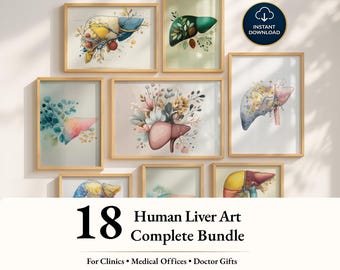 18 Watercolor Liver Anatomy Wall Art Bundle, Liver Anatomy Print, Human Liver Print, Gastrointestinal System, Doctor Gift, Science Art