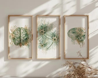 therapy office wall art set of 3, psychology wall art, vagus nerve, neuroscience wall art, medical art, brain decor, brain art, anatomy art