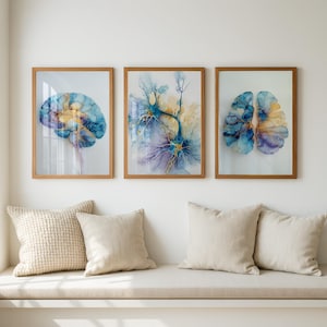 Op de afbeelding: Drie ingelijste wandkunstprints met abstracte aquarel-stijl illustraties van de menselijke hersenanatomie en neuronen in tinten blauw, goud en paars. Elke print zit in een dunne, lichtgekleurde houten lijst met een glazen voorzijde.