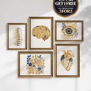 Op de afbeelding: Vijf ingelijste wandkunstprints met anatomische illustraties van een ruggengraat, hersenen, oog, longen en hart, versierd met blauwe en gouden bloemmotieven. Een ronde badge in de hoek toont de tekst BUY 2, GET 1 FREE.