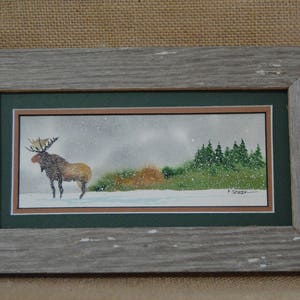 Moose wandering in winter Framed 4x8 image 2